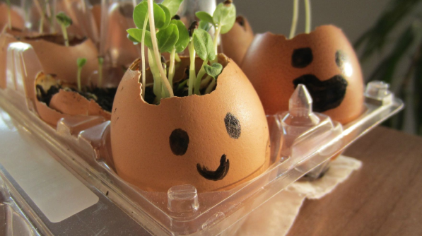 oeuf